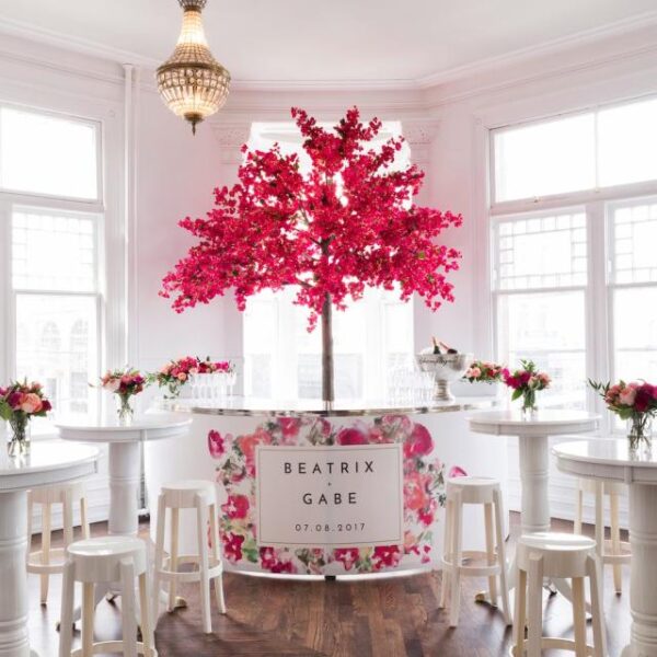 BAR-004 | 6FT CURVED BAR CHROME FRAME WITH PLEXI