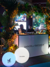 MISC-LUP-005 | LIGHT-UP BALL - SMALL