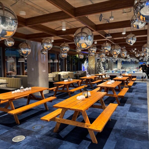 MISC-CASUAL-300 | NATURAL WOOD PICNIC TABLE