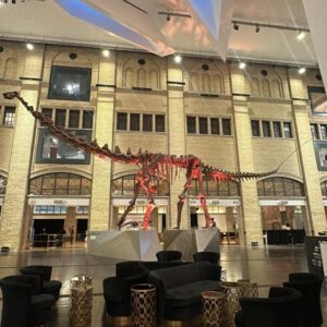 original-F6B7E2EB-C6E7-4EAD-9CE9-4EC09D825454jpeg