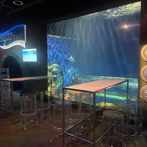 BS-027 | CLEAR ACRYLIC BARSTOOL