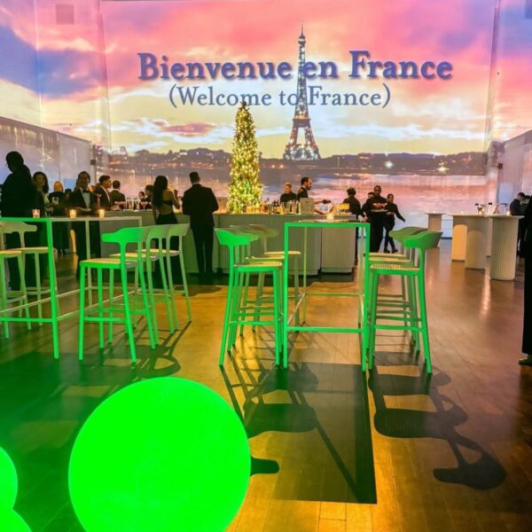 MISC-LUP-007 | LIGHT-UP BALL - LARGE