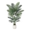 MISC-PLT-24 | 5FT PALM TREE WITH WHITE PLANTER