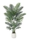 MISC-PLT-1 | 6FT PALM TREE WITH WHITE PLANTER