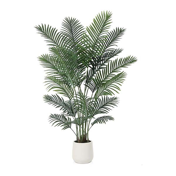 MISC-PLT-1 | 6FT PALM TREE WITH WHITE PLANTER