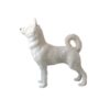 MISC-ZOO-048 | WHITE HUSKY