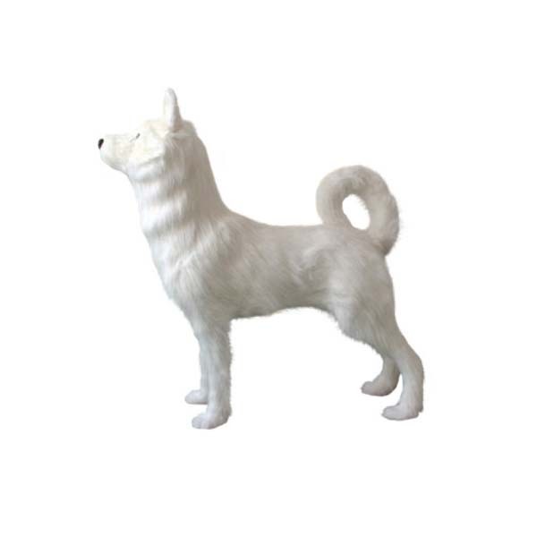 MISC-ZOO-048 | WHITE HUSKY