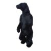 MISC-ZOO-045 | BLACK BEAR
