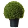 MISC-BA-015 | TOPIARY