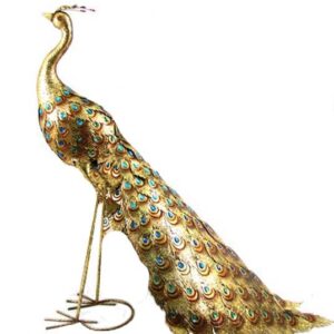 MISC-ZOO-065 | GOLDEN PEACOCK