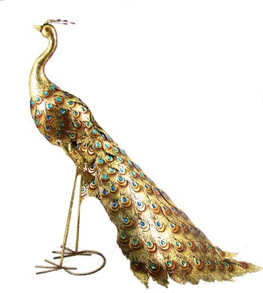 MISC-ZOO-065 | GOLDEN PEACOCK