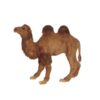 MISC-ZOO-046 | CAMEL