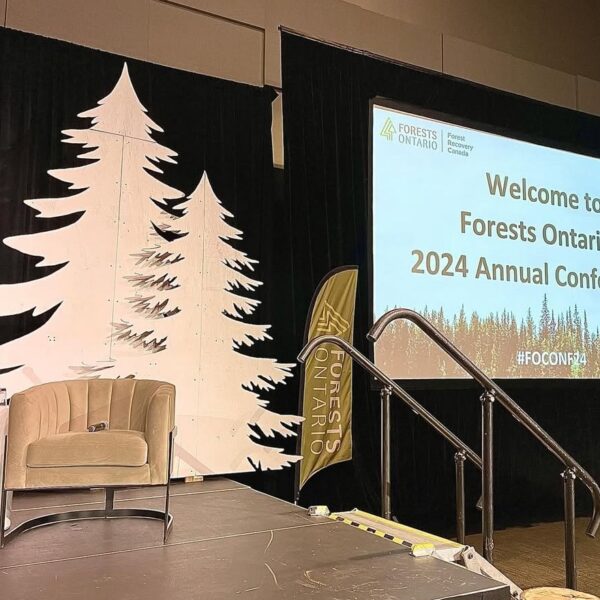 SS-616 | ROUND VELVET BLACK FRAME SINGLE CHAIR OLIVE GREEN