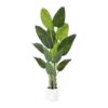 MISC-PLT-21 | 6FT BIRDS OF PARADISE PLANT WITH WHITE PLANTER