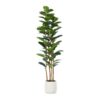 MISC-PLT-22 | 6FT FIDDLE FIG TREE WITH WHITE PLANTER