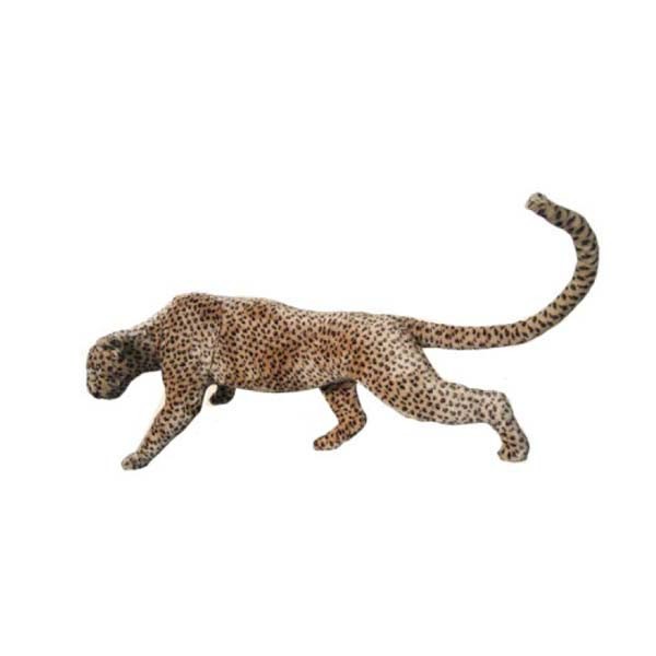 MISC-ZOO-049 | COUGAR