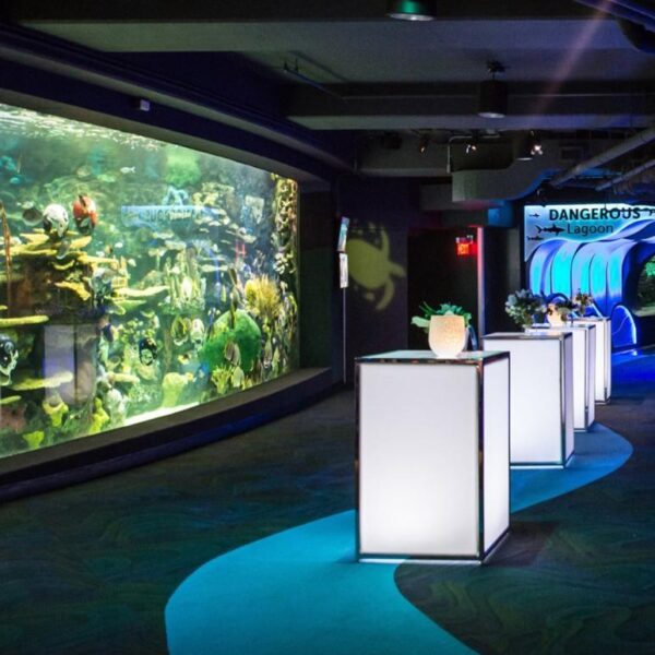 BAR-CU-001 | CORNER UNIT CHROME FRAME WITH PLEXI