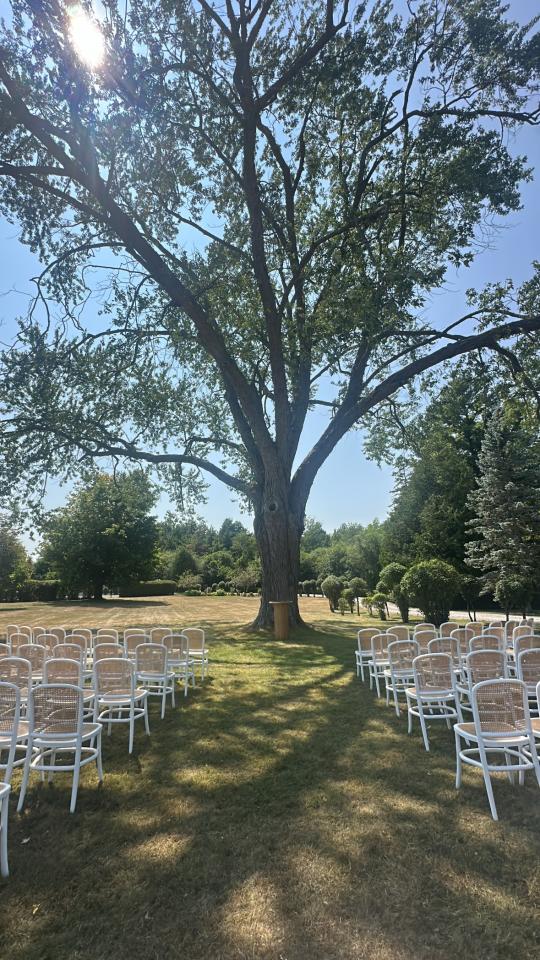 CH-098 | NAPA DINING CHAIR WHITE FRAME WITH NATURAL CANE SEAT & BACK