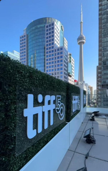 MISC-PLT-100 | 4FT CONTEMPORARY VERTICAL HEDGE