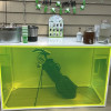 BAR-011 | 6FT BAR WHITE FRAME WITH PLEXI