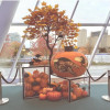 BAR-CU-004 | CORNER UNIT BLACK FRAME WITH PLEXI