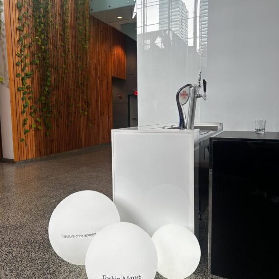 MISC-LUP-007 | LIGHT-UP BALL - LARGE