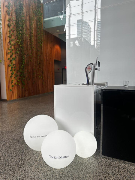 MISC-LUP-007 | LIGHT-UP BALL - LARGE