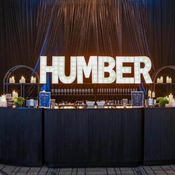 BAR-010 | 6' BAR BACK BLACK FRAME WITH PLEXI