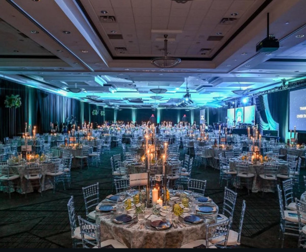 CH-050 | CHIVARI DINING CHAIR CLEAR WITH CUSHION