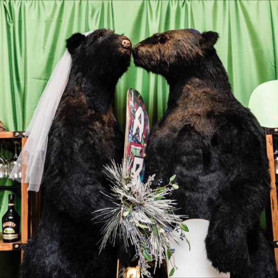 MISC-ZOO-045 | BLACK BEAR