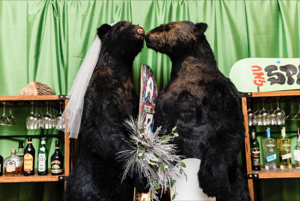 MISC-ZOO-045 | BLACK BEAR