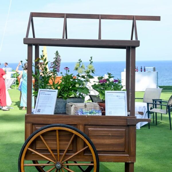 MISC-PROP-081 | WOODEN TROLLEY CART